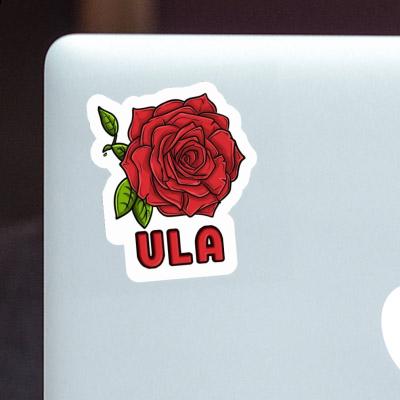 Ula Sticker Rosenblüte Image