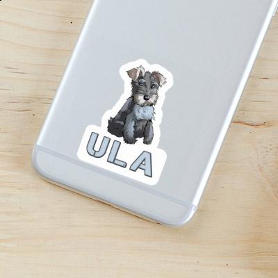 Ula Autocollant Schnauzer Gift package Image