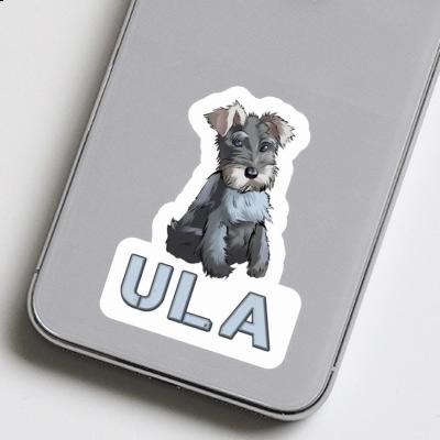 Schnauzer Sticker Ula Gift package Image