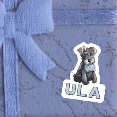 Schnauzer Sticker Ula Notebook Image