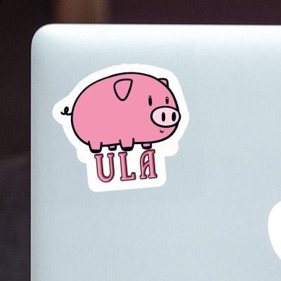 Sticker Ula Schwein Gift package Image