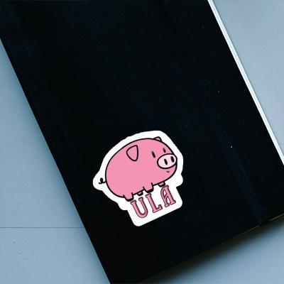 Sticker Ula Schwein Gift package Image