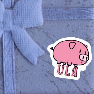 Sticker Ula Schwein Notebook Image