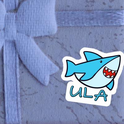 Sticker Ula Shark Laptop Image