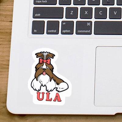 Sticker Shih Tzu Ula Image