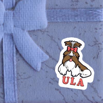 Sticker Shih Tzu Ula Notebook Image