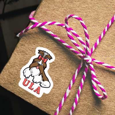 Shih Tzu Sticker Ula Image