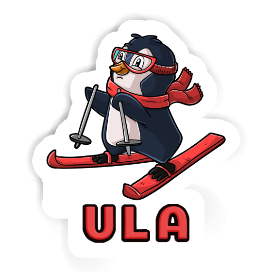 Ula Sticker Skier Gift package Image