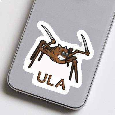 Ula Sticker Spinne Gift package Image