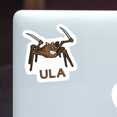 Sticker Ula Fighting Spider Notebook Image