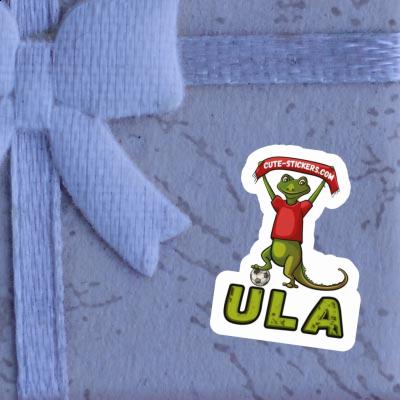 Sticker Ula Lizard Gift package Image