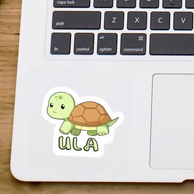 Ula Sticker Turtle Notebook Image