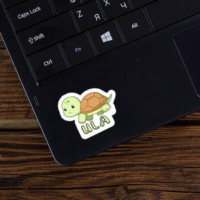 Ula Sticker Turtle Gift package Image