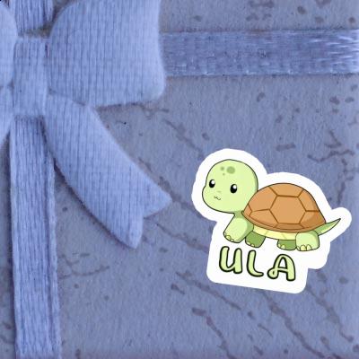 Ula Sticker Turtle Laptop Image