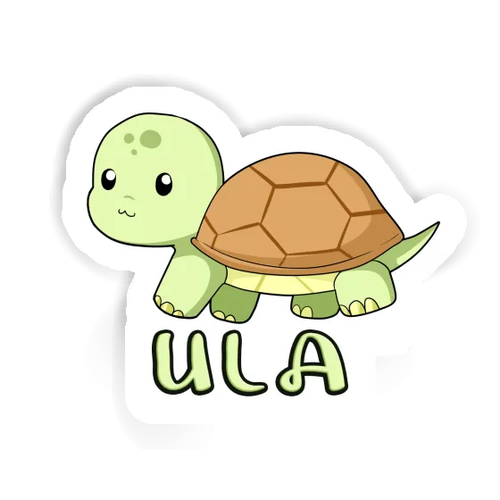 Ula Sticker Turtle Notebook Image