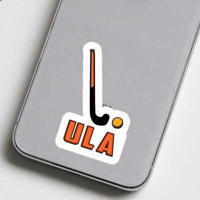 Unihockeyschläger Aufkleber Ula Gift package Image