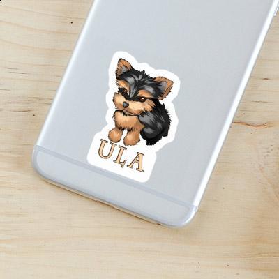 Terrier Sticker Ula Gift package Image