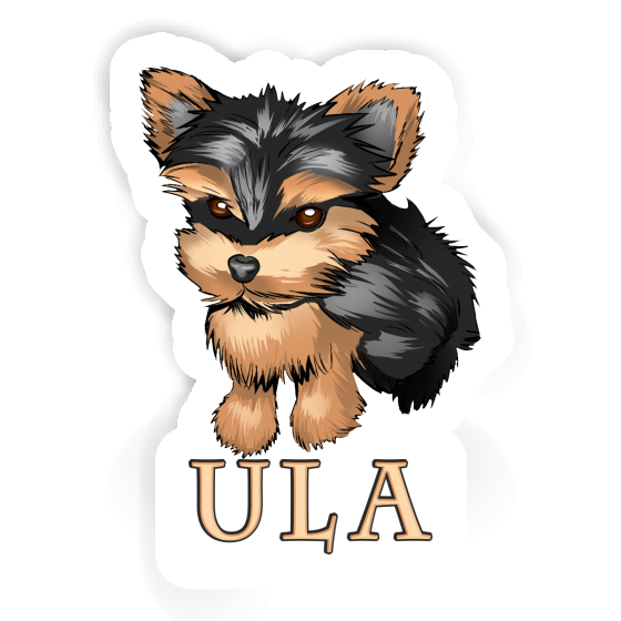 Terrier Sticker Ula Laptop Image