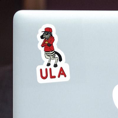 Sticker Ula Zebra Laptop Image