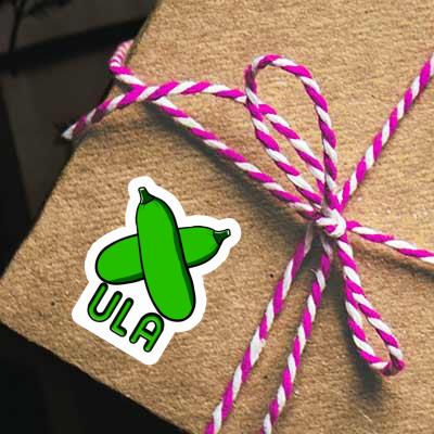 Ula Autocollant Courgette Gift package Image