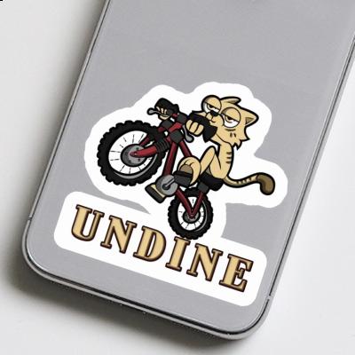 Sticker Bike Cat Undine Notebook Sticker Bike Cat Undine Gift package Image