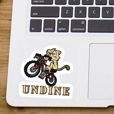 Sticker Bike Cat Undine Notebook Sticker Bike Cat Undine Gift package Image