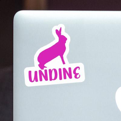 Rabbit Sticker Undine Notebook Rabbit Sticker Undine Gift package Image