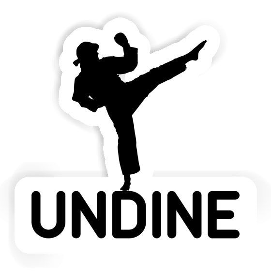 Sticker Karateka Undine Notebook Sticker Karateka Undine Gift package Image