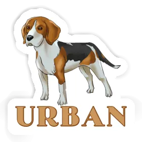 Autocollant Beagle Urban Image
