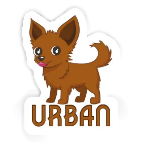 Autocollant Urban Chihuahua Image