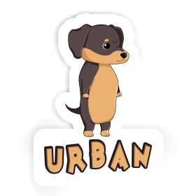 Dackel Sticker Urban Image