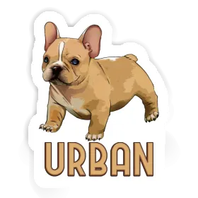 Autocollant Bouledogue Urban Image