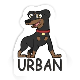 Pinscher Autocollant Urban Image