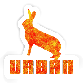 Autocollant Urban Lapin Image
