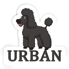 Autocollant Caniche Urban Image