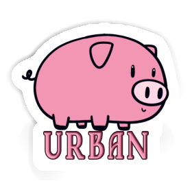 Autocollant Urban Cochon Image