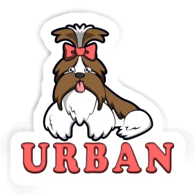 Autocollant Shih Tzu Urban Image