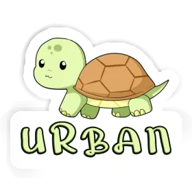 Autocollant Tortue Urban Image