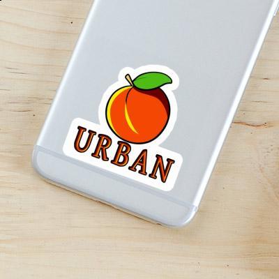 Apricot Sticker Urban Gift package Image