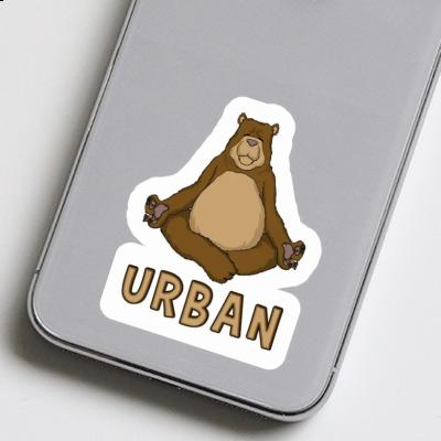 Bear Sticker Urban Image