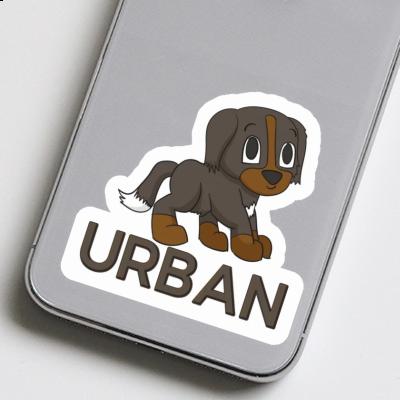Autocollant Urban Chien de bouvier Laptop Image