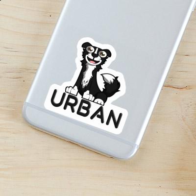 Aufkleber Urban Border Collie Notebook Aufkleber Urban Border Collie Notebook Image