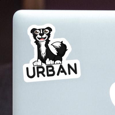 Collie Sticker Urban Notebook Image