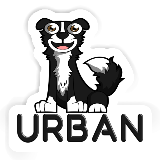 Collie Sticker Urban Image