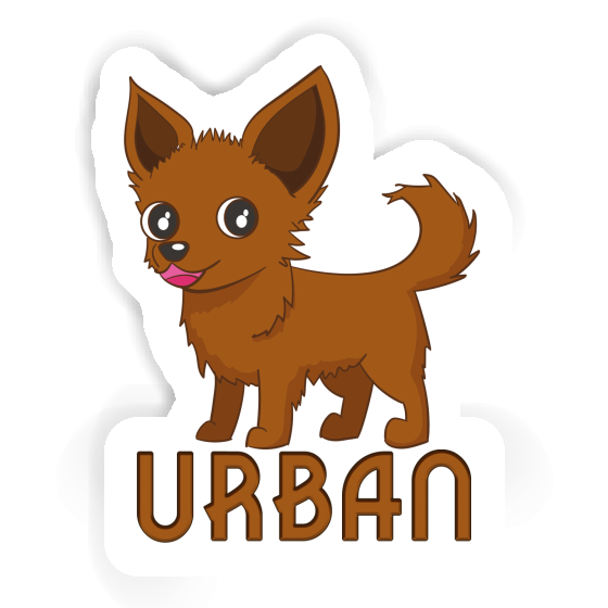 Autocollant Urban Chihuahua Gift package Image