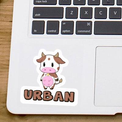 Cow Sticker Urban Notebook Cow Sticker Urban Gift package Image