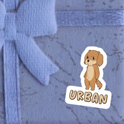 Hovawart Sticker Urban Notebook Hovawart Sticker Urban Gift package Image