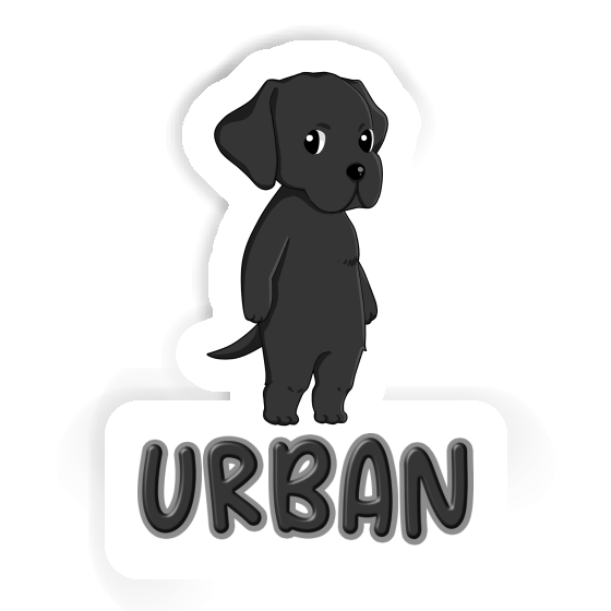 Urban Sticker Labrador Notebook Urban Sticker Labrador Gift package Image