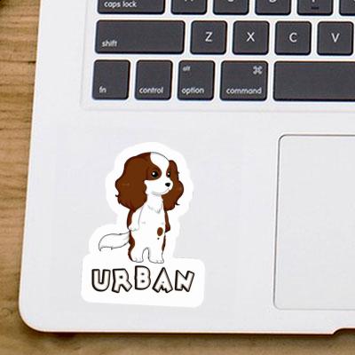 Urban Autocollant Cavalier King Charles Spaniel Notebook Urban Autocollant Cavalier King Charles Spaniel Gift package Image