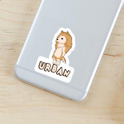 Sticker Collie Urban Sticker Collie Urban Image